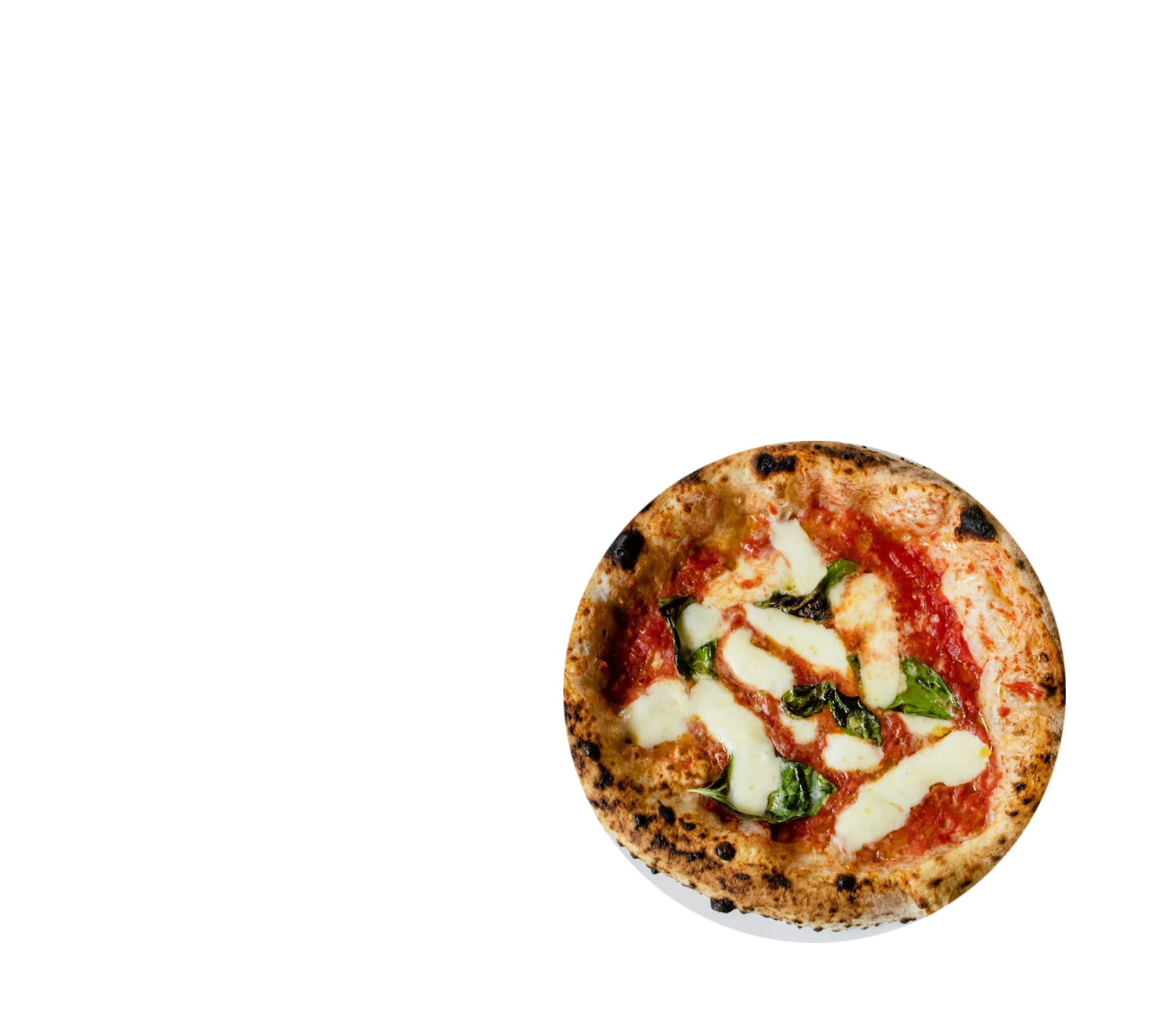 A Neapolitan pizza
