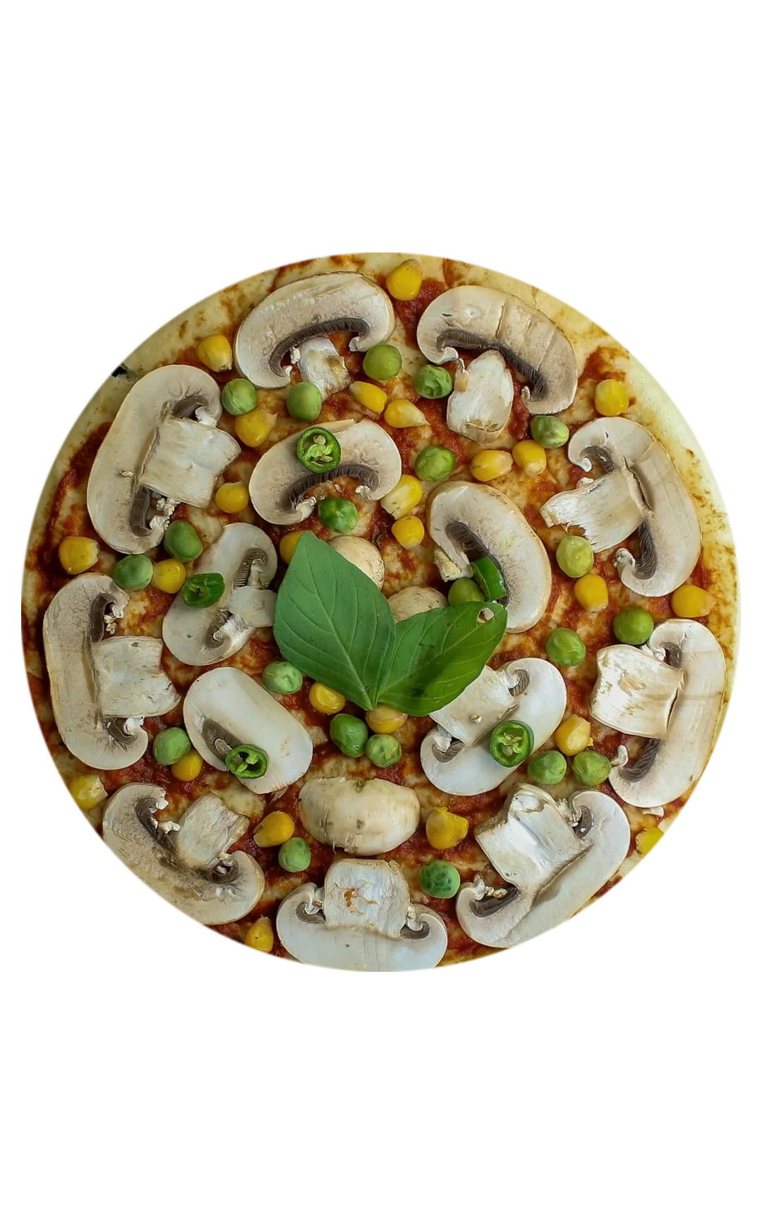 Primavera